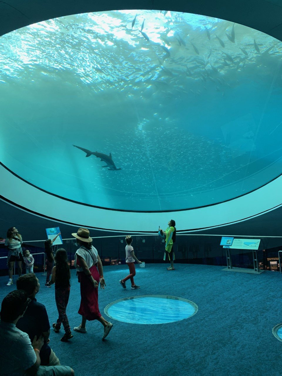 Visitors beneath the circular Oculus aquarium window at Frost Science.