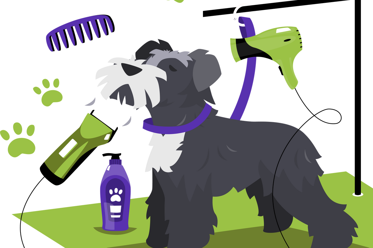 Pet Avenue’s colorful dog grooming artwork.